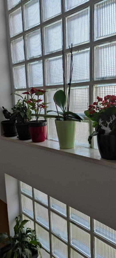 Apartment Ruza Rg